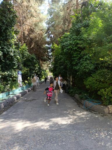 عکس مجموعه شاندیز هفت ایوان 