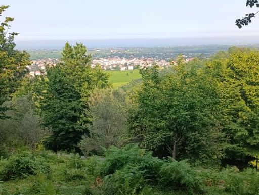 عکس پارک جنگلی سیاهداران