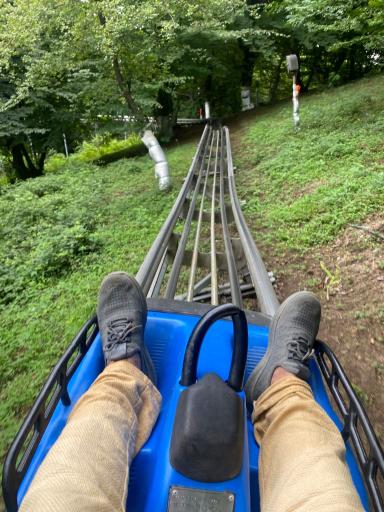 عکس پارک جنگلی سیاهداران