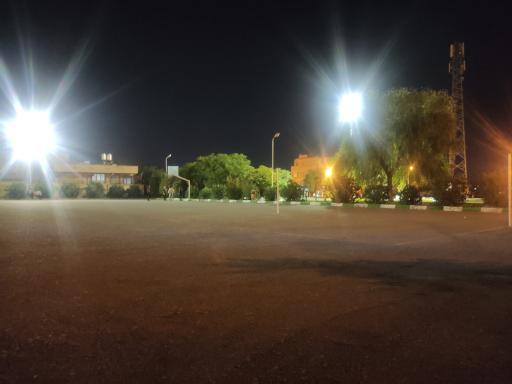 عکس فضای سبز نیلوفر 