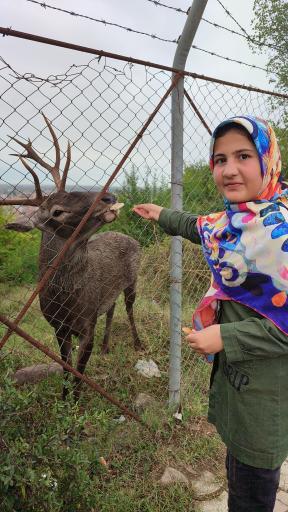 عکس پارک جنگلی سیاهداران