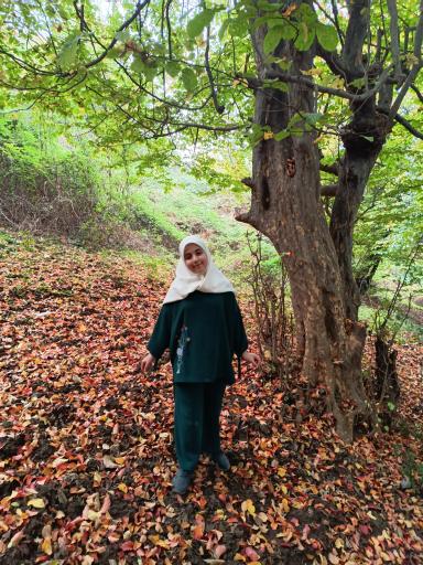 عکس پارک جنگلی سیاهداران