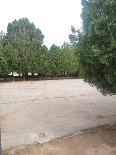 عکس پارک امام رضا