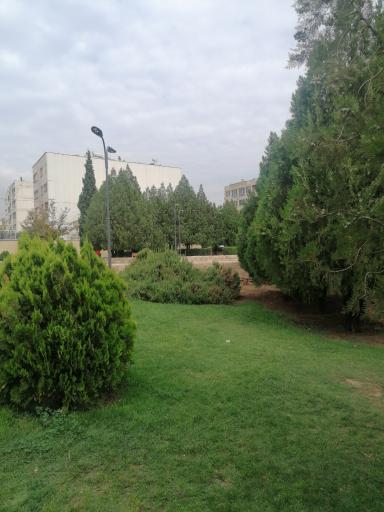 عکس پارک امام رضا