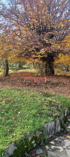 عکس پارک جنگلی سیاهداران