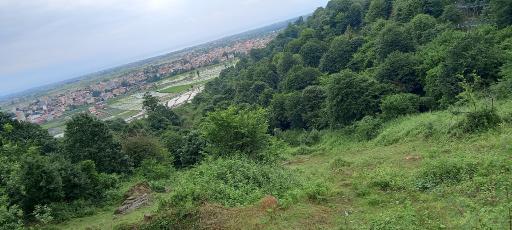 عکس پارک جنگلی سیاهداران