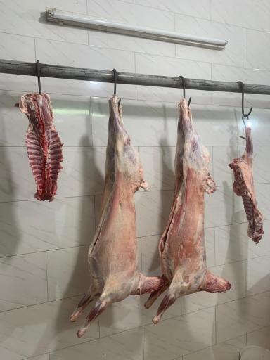 عکس سوپر گوشت سید ولی