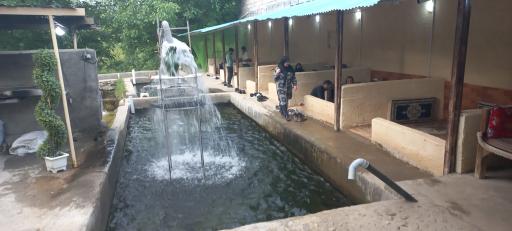 عکس پرورش ماهی و سفره خانه آخارسو