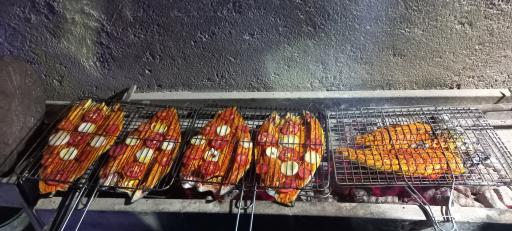 عکس پرورش ماهی و سفره خانه آخارسو