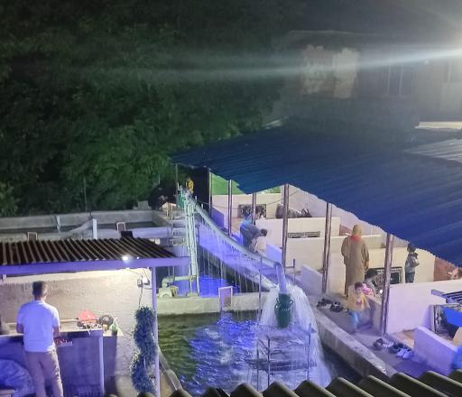 پرورش ماهی و سفره خانه آخارسو