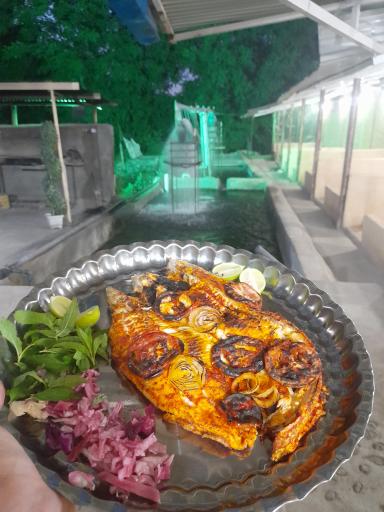 پرورش ماهی و سفره خانه آخارسو