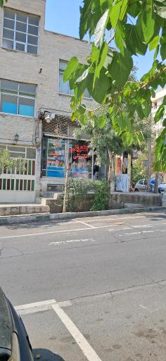 عکس الکتریکی سعید