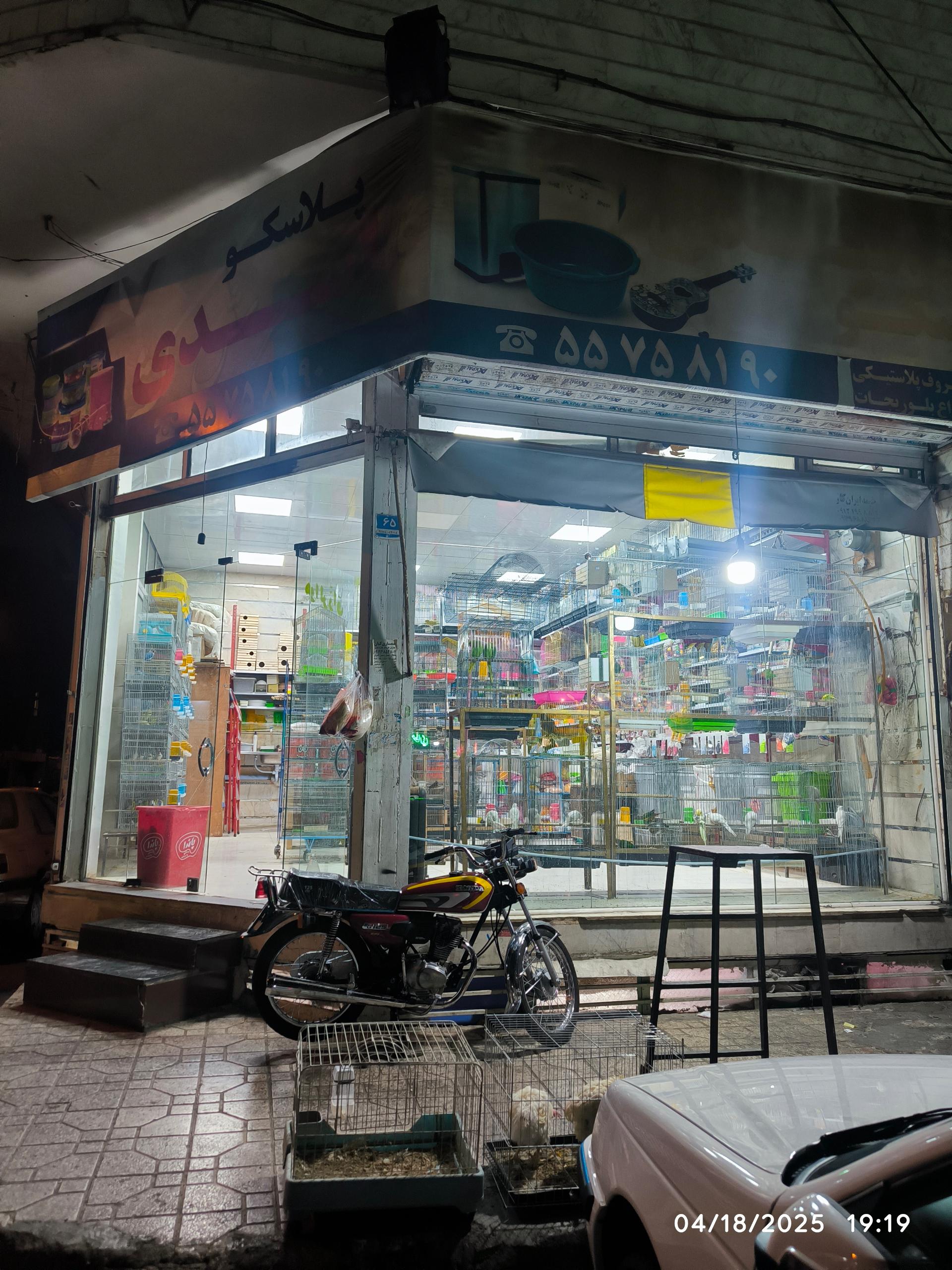 عکس پرنده فروشی