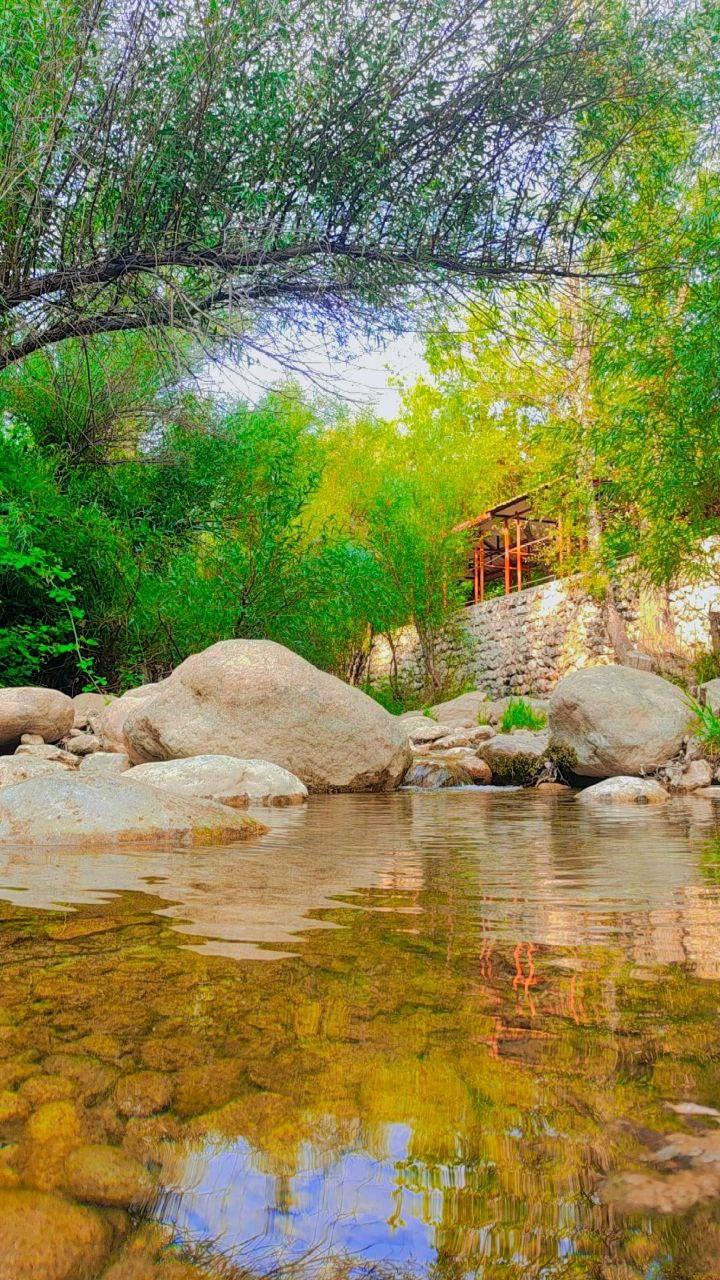 عکس باغ برکه سپیدان 