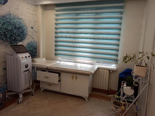 عکس اکسون طب ویدا