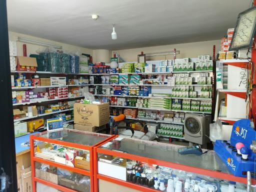 عکس کالای برق جوان