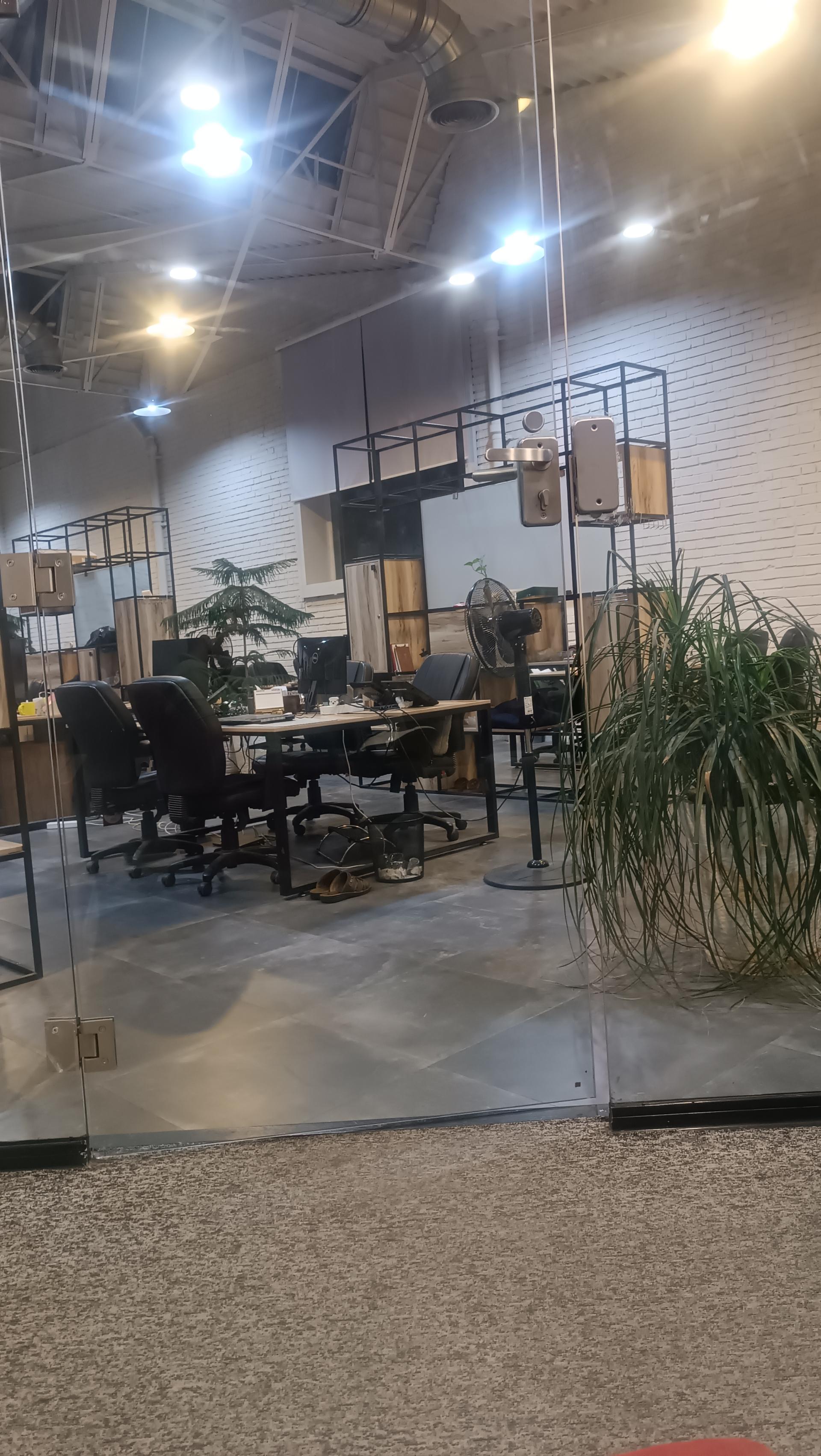 عکس نبض کار 