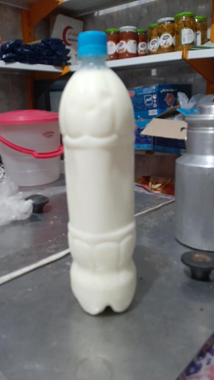 عکس لبنیاتی صدرا