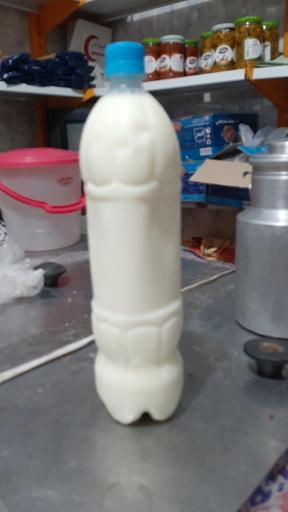 عکس لبنیاتی صدرا