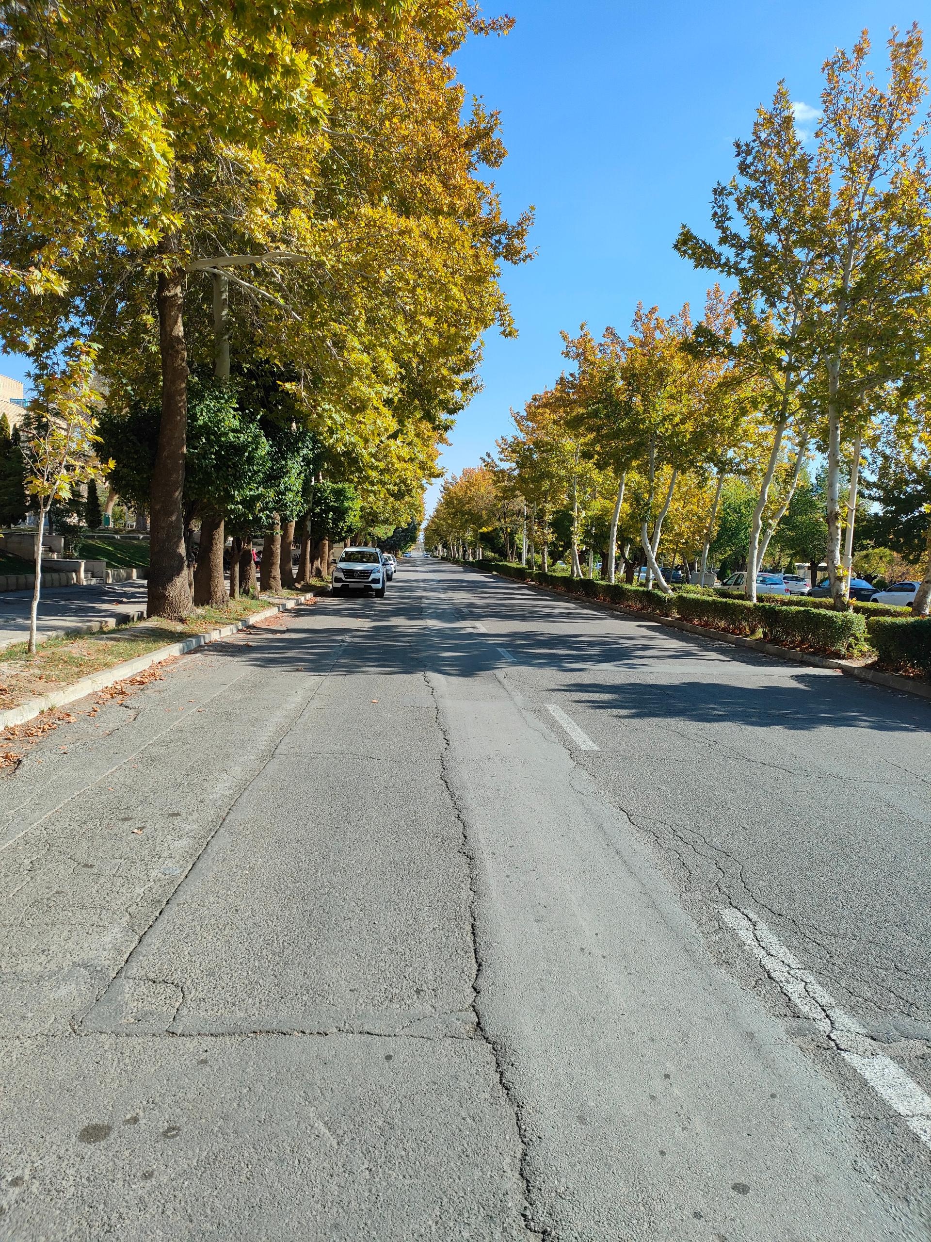 عکس دانشگاه ارومیه واحد نازلو