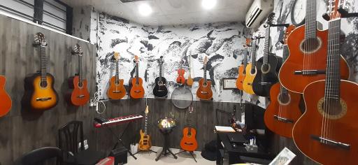 عکس گالری موسیقی ویانا