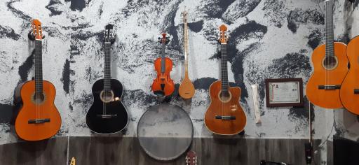 گالری موسیقی ویانا