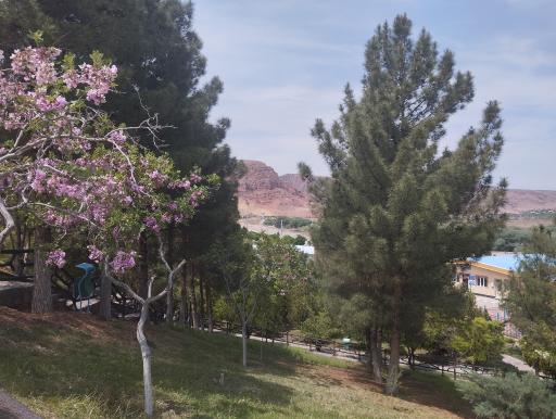 عکس پارک کوهستان ارس