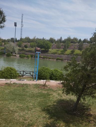 عکس پارک کوهستان ارس