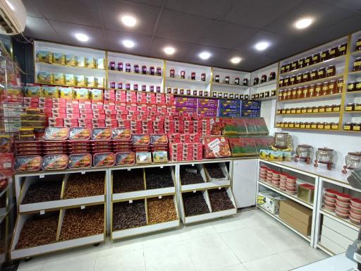 عکس نخل سباخر