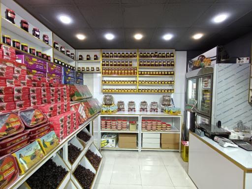 عکس نخل سباخر