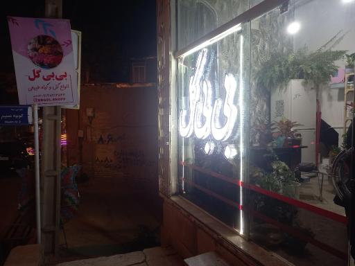 عکس گل و گیاه بی بی گل