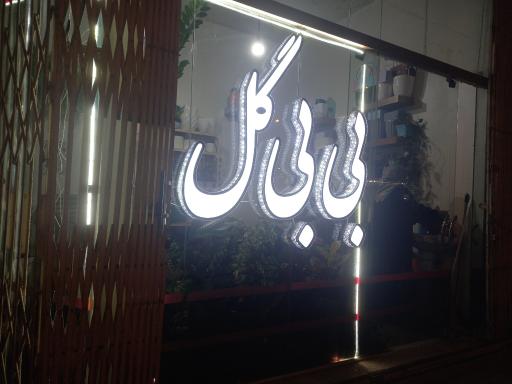 عکس گل و گیاه بی بی گل