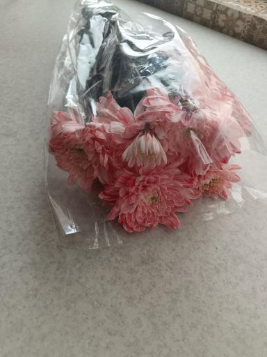 عکس گل فروشی اشکان