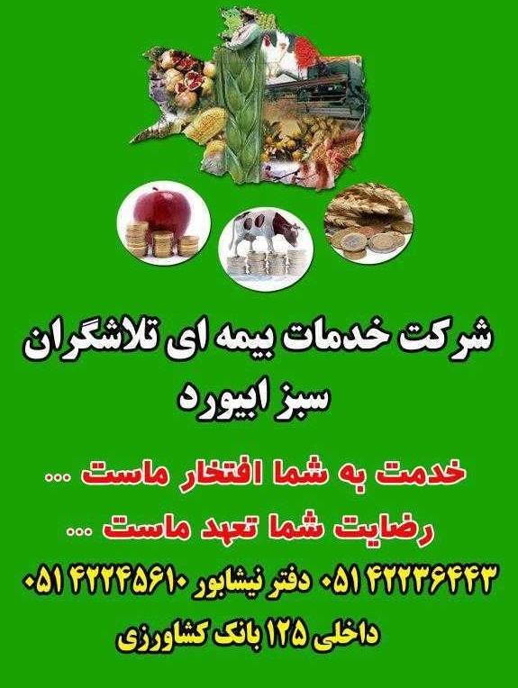 عکس شرکت بیمه کشاورزی تلاشگران سبز ابیورد نیشابور