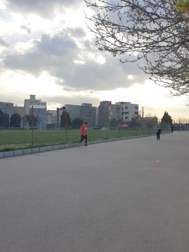 زمین ورزشی شقایق