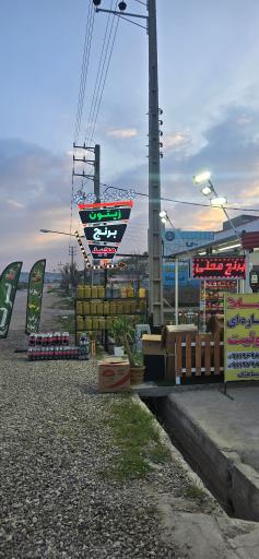 عکس زیتون و برنج فروشی مجید