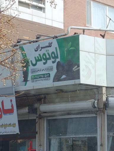 عکس گلسرای لوتوس