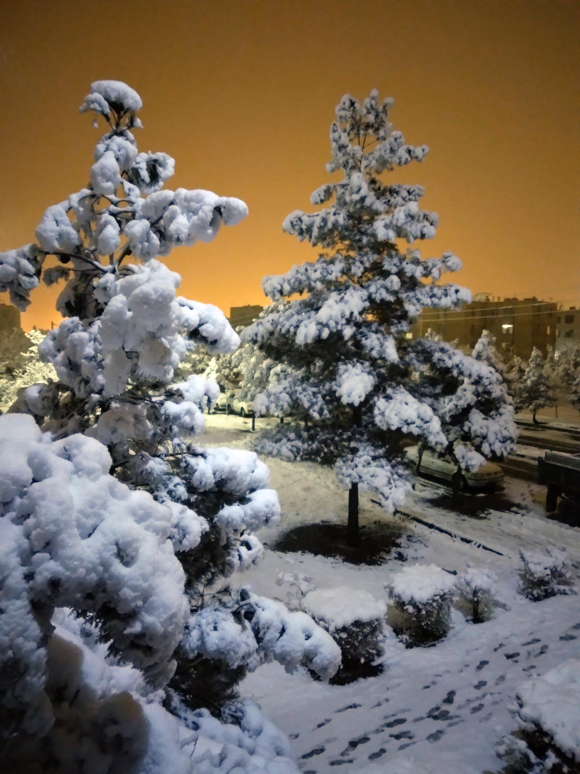 عکس پارک فاز ۸ شهرک دانشگاه