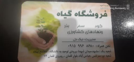 عکس سم‌ فروشی ‌نیکدل