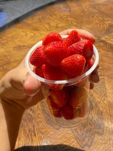 عکس choocoo bar | کافه شکلات