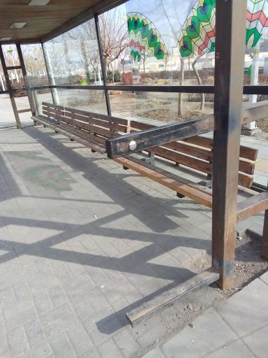 عکس  شهید طلوع برکاتی