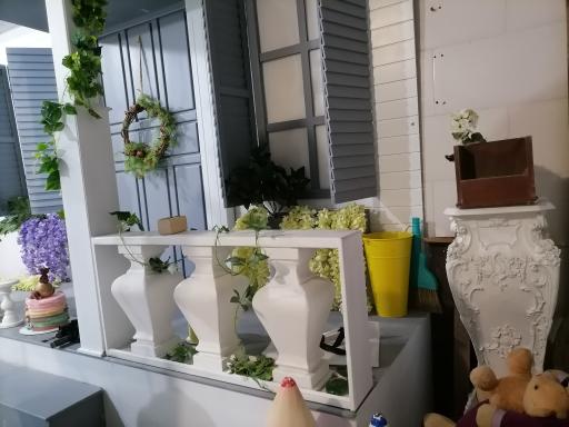 عکس آتلیه عکس و فیلم زوم