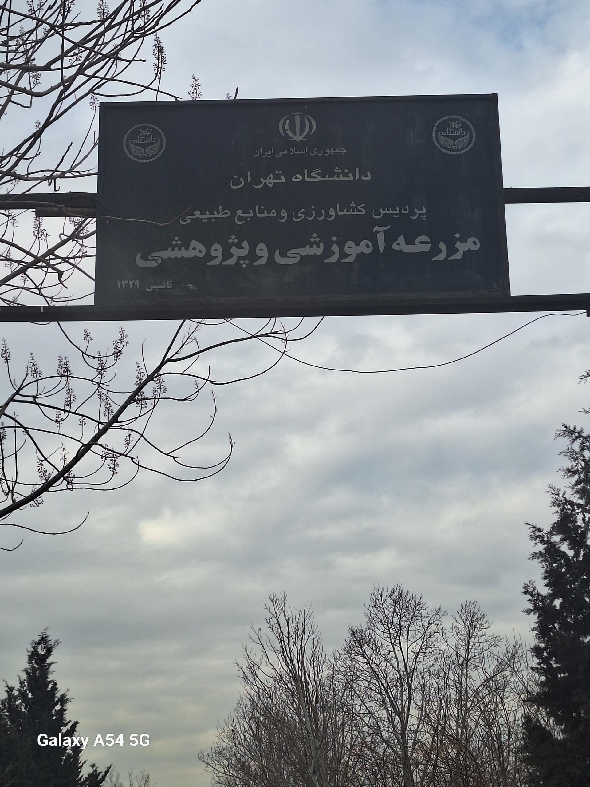 عکس نهالستان جهاد دانشگاهی
