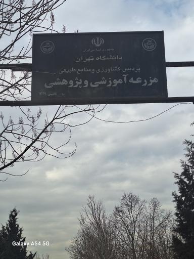 عکس نهالستان جهاد دانشگاهی