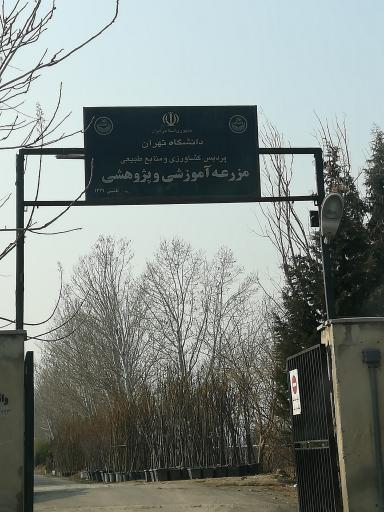 عکس نهالستان جهاد دانشگاهی