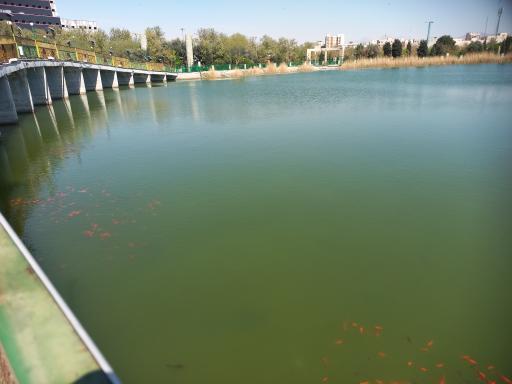 عکس دریاچه بوستان رازی