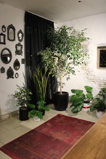 عکس کافه هنر مان