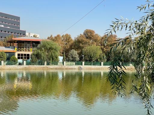 عکس دریاچه بوستان رازی