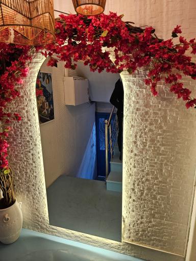 عکس کافه رستوران سالیز