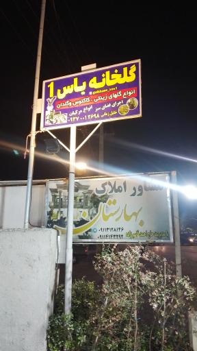 عکس گلخانه یاس ۱